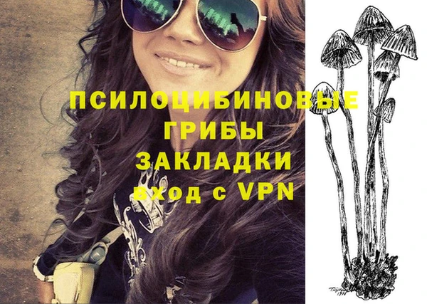 прущий лед Белокуриха