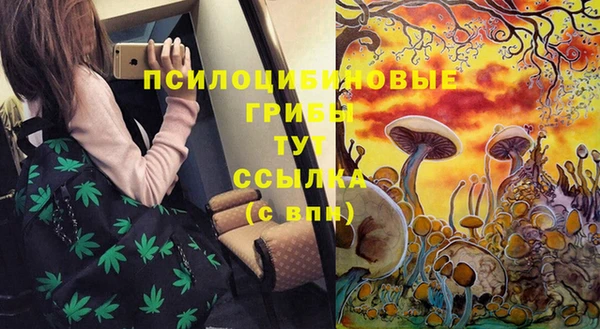 молекула духа Беломорск
