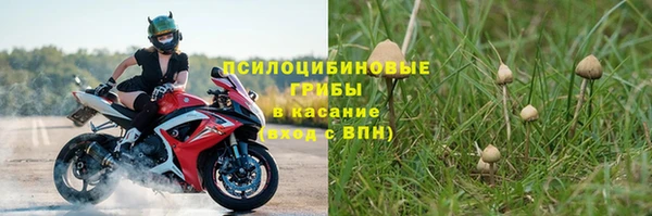 прущий лед Белокуриха