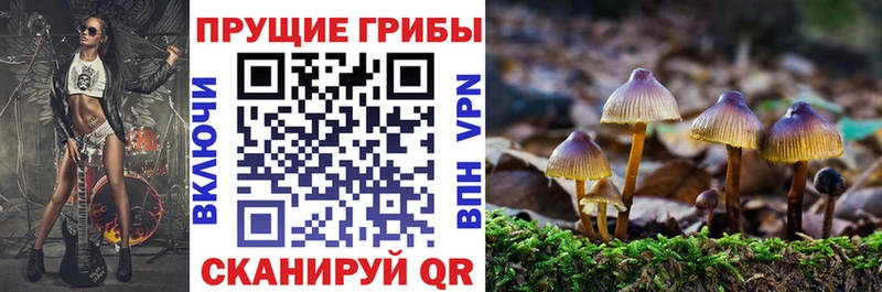 Галлюциногенные грибы GOLDEN TEACHER  Купить  Асино 